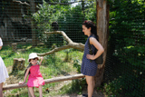 http://pehor.com/zf3/_files/obrazky/PRAHA06072017zoo/LK4.jpg