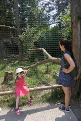 http://pehor.com/zf3/_files/obrazky/PRAHA06072017zoo/LK5.jpg