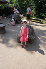 http://pehor.com/zf3/_files/obrazky/PRAHA06072017zoo/Laurazelva3.jpg