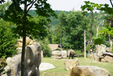 http://pehor.com/zf3/_files/obrazky/PRAHA06072017zoo/Slonzdalky2.jpg